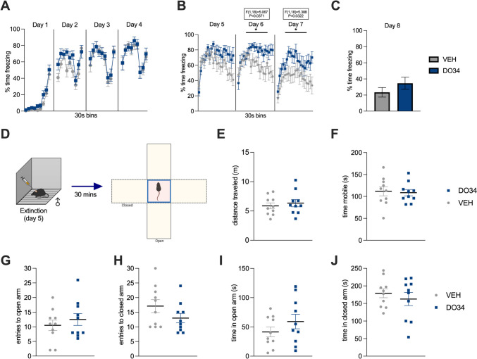 Pharmacological inhibition of DAGL during extinction does not promote anxiety-like behavior in the EPM in male mice. (A) Percentage of time spent freezing during acquisition of contextual fear. (B) Percentage of time spent freezing during extinction when DO34 (50 mg/kg) was injected IP 2 h before each session. (C) Percentage of time spent freezing during retrieval test. (D) Schematic diagram of behavioral testing for the EPM 30 min after the first extinction session. (E) Distance traveled in the whole apparatus. (F) Total immobility time. (G) Entries and (H) time spent in open arms of the maze. (I) Entries and (K) time spent in closed arms of the maze. All values are presented as mean ± SEM (n= 10 male mice per condition)