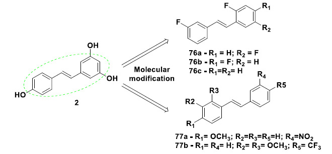 Chemical structures of substituted stilbene-like derivatives 76a-c and 77a-b with remarkable effects on Nrf2 activation and antioxidant activity.