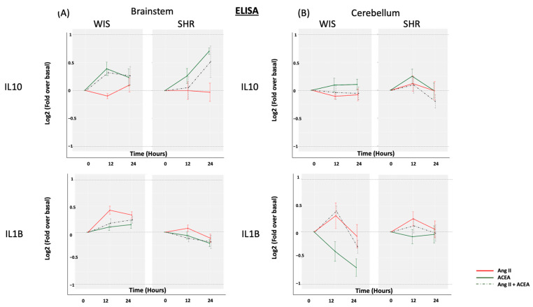 Effect of Ang II and/or ACEA on IL10 and IL1β secreted fraction. Primary (A) brainstem and (B) cerebellar astrocytes, from SHR and Wistar rats, were profiled for IL10 and IL1β secreted protein levels, in response to Ang II and/or ACEA for 12 and 24 h, by employing ELISA. The data are represented as a line graph, with the change in cytokine expression levels shown on the Y-axes, and the different treatment time points shown on the X-axes. Different colors are employed for the three different treatments. Data are expressed as the mean ±SEM.