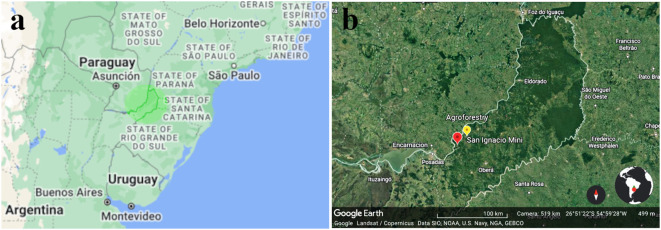 Map showing the southern region of Brazil and parts of neighboring countries like Argentina, Uruguay, and Paraguay. Key locations marked include Asunción, Buenos Aires, and Montevideo. A second map indicates San Ignacio Miní and agroforestry sites. The satellite imagery highlights geographical features in the region.