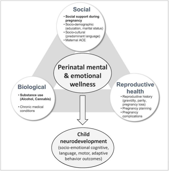 Conceptual framework for risk and protective factors affecting perinatal mental and emotional wellness.