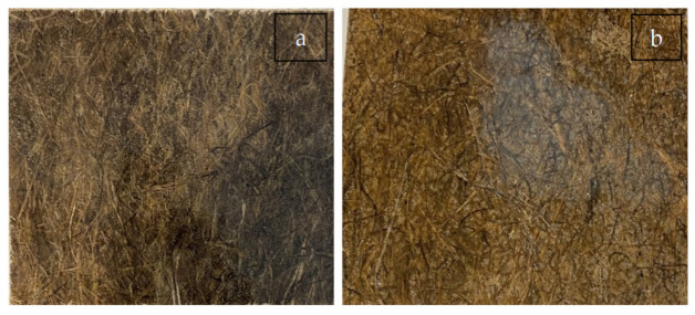 Specimens (a) 30 wt.% hemp reinforced PLA composite and (b) 50 wt.% hemp reinforced PLA composite.