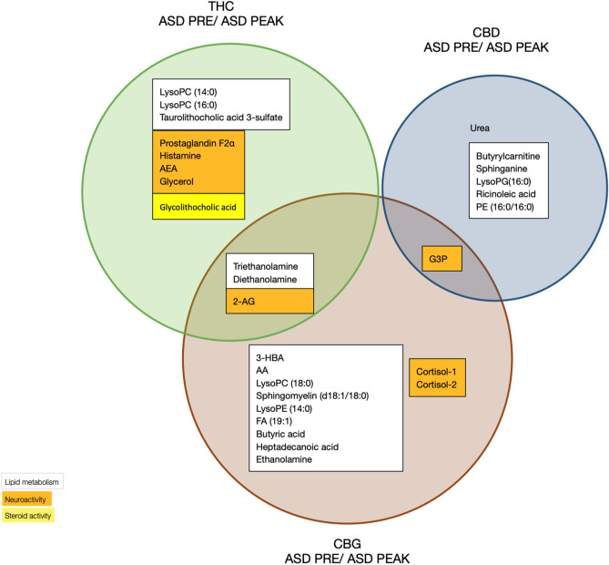 Identification of potential THC-, CBD- and CBG-responsive biomarkers that distinguish patients with ASD at PRE vs PEAK. Venn diagram illustrating the unique and overlapping cannabis-responsive biomarkers that respond (PRE/PEAK) to THC, CBD and CBG treatment. The biomarker functions (lipid metabolism, neuroactivity and steroid activity) are color coded (white, orange and yellow, respectively).