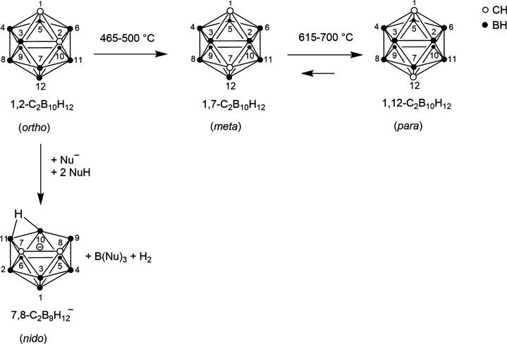 Transformation of the carborane isomers into each other and deboronation of o-carborane leading to nido-carborate(−1).51,65,66