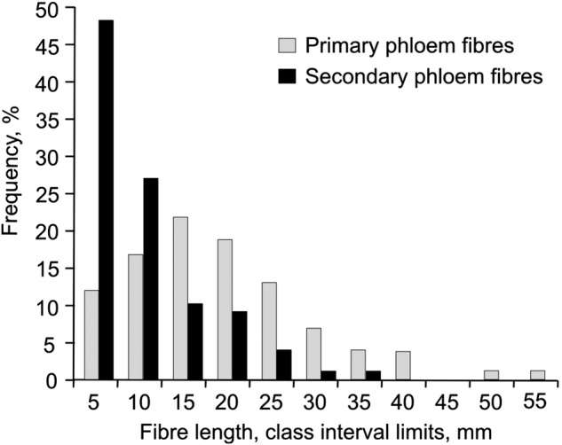 Distribution of primary (grey) and secondary (black) phloem fibre length in mature hemp stem (frequency of abundance of different length fibres). Primary phloem fibres are significantly longer than secondary ones. n = 100.