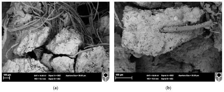 Microscopic morphology of interfacial adhesion between fibers and matrix. (a) Fiber bridging crack and fiber debonding; (b) Fiber adhesion to matrix and fiber fracture [51].