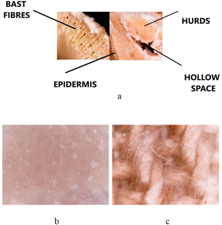 Images with an optical microscope of the HMP-STK cross-section (a), a thin film deposited on glass slab PLD-HMP-STK/Glass (b) and a thin film deposited on hemp fabric PLD-HMP-STK/HMP-FB (c).
