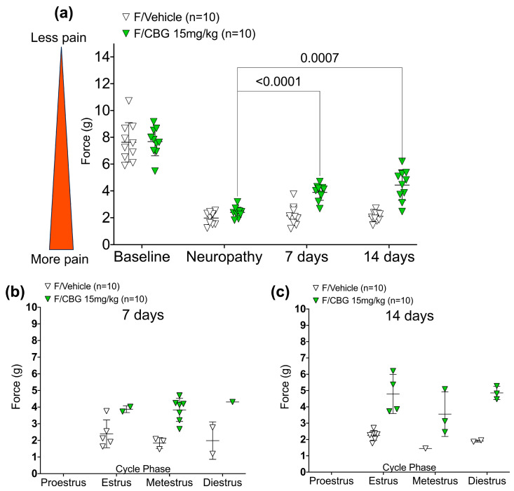 (a) Chronic effects of CBG on neuropathic pain in female mice (n = 10 for vehicle and CBG). Mechanical hypersensitivity (force (g)) measured 24 h after the last injection. All statistical analyses were conducted using 2-way ANOVA with Tukey’s multiple comparisons test. (b) Estrous cycle phase identified twenty-four hours after seventh injection of CBG or vehicle, and within 30 min of the von Frey measurement. (c) Estrous cycle phase identified twenty-four hours after fourteenth injection of CBG or vehicle, and within 30 min of the von Frey measurement.