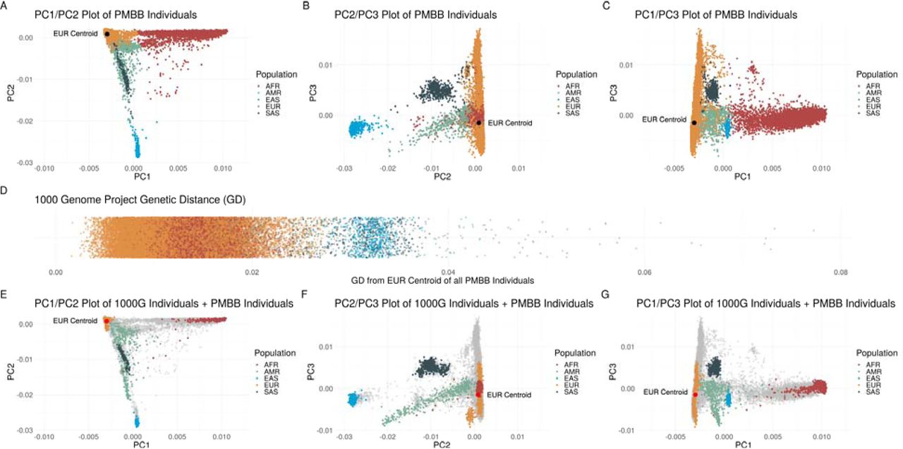 Principal component based clusters of individuals in the Penn Medicine Biobank compared to genetic distance from the 1000 Genomes Project European centroid and compared to continental-level clusters of 1000 Genomes Project individuals demonstrating the degree of overlap of different genetically similar groups. A-C:Discrete labelling of the position of each individual within the Penn Medicine Biobank (PMBB) colored by genetically similar group based on 1000 Genomes Project (1000G) continental-level reference populations in a plot of (A) principal component (PC) 1 versus PC2, (B) PC2 versus PC3, and (C) PC1 versus PC3 with 1000G European centroid (black dot) identified in each plot. (D) the genetic distance from the 1000G European centroid of each individual within PMBB again colored by genetically similar group based on 1000 Genomes Project (1000G) continental-level reference populations. E-G: Discrete labelling of the position of each 1000G reference panel individuals colored by continental region with PMBB individuals represented by grey dots in a plot of (E) PC1 versus PC2, (F) PC2 versus PC3, and (G) PC1 versus PC3 with 1000G European centroid (red dot) identified in each plot.