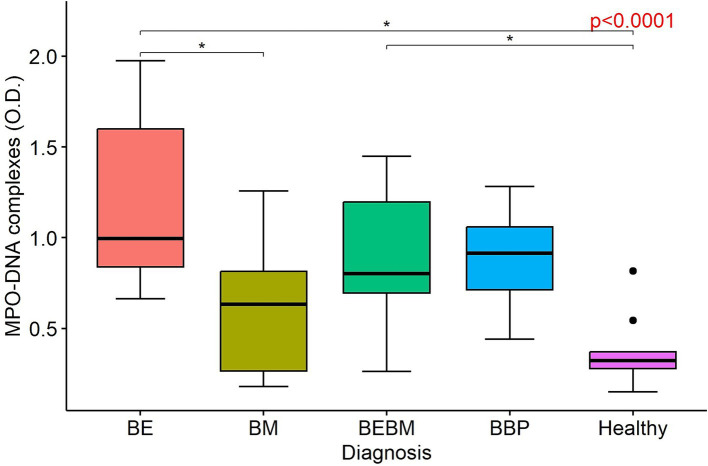 Box plot comparing MPO-DNA complex levels (O.D.) among five groups: BE (highest median), BM, BEBM, BBP, and Healthy (lowest median with two outliers). Statistically significant differences indicated by asterisks and p-value less than 0.0001.