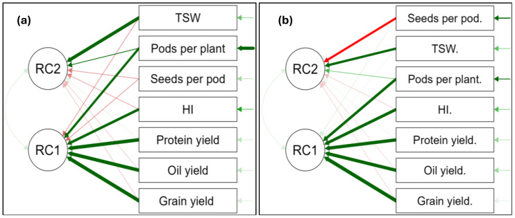 Diagram depicts two panels, (a) and (b), illustrating network connections between variables. RC1 and RC2 are connected to various factors such as TSW, pods per plant, seeds per pod, HI, protein yield, oil yield, and grain yield. Green and red arrows indicate different types of relationships. Panel (a) and (b) show slight variations in the connections, particularly between RC2 and seeds per pod.
