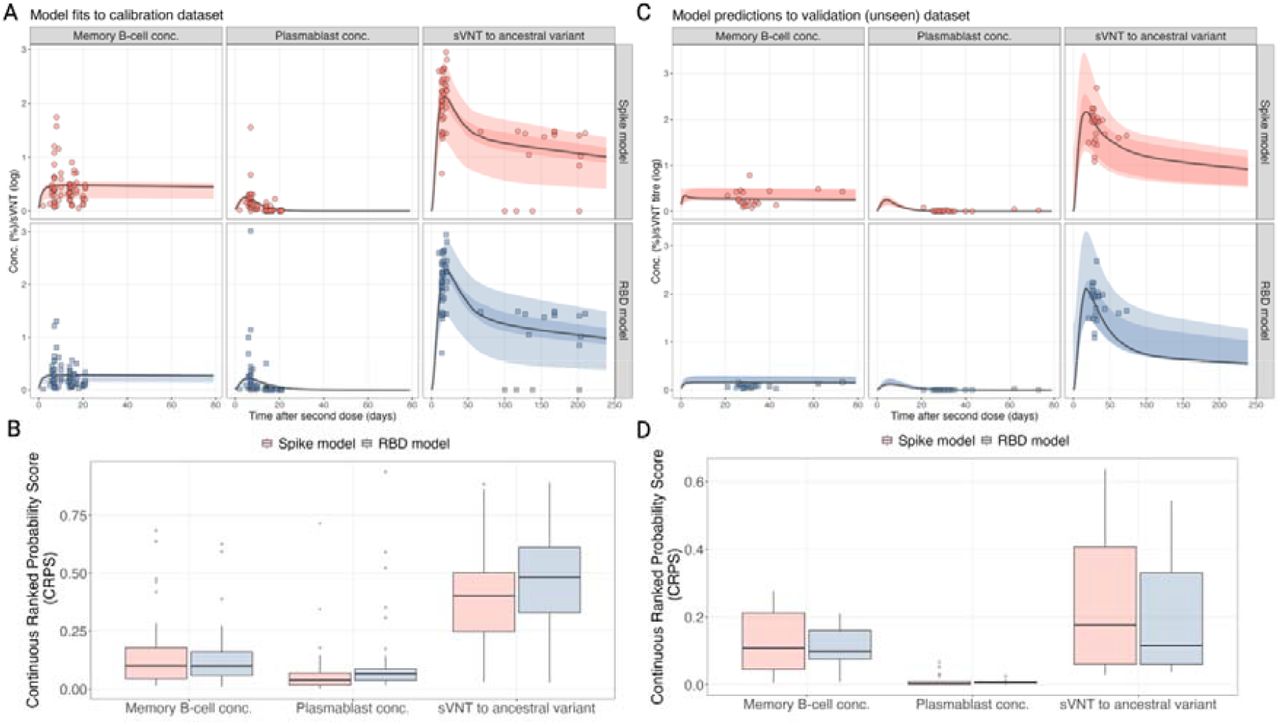 Comparison of the fitted models and raw data from the calibration dataset (A, B) and the validation dataset (C, D). (A, C) Comparison of model posterior predictive trajectories, fitted to each antigen (rows), for the biomarker type (columns) for time post-vaccination (x-axis). (B, D) The distribution of the CRPS for both models fits for each biomarker for the calibration dataset.