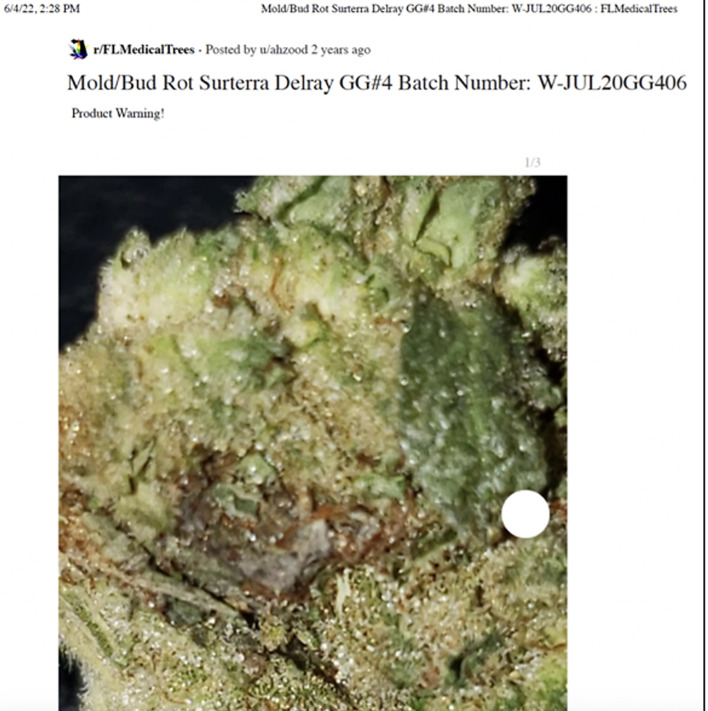 Possible gray contamination in the center of a cannabis flower. This figure is a zoomed-in image of the inside of a cannabis flower. The inside appears to be gray, which could be an indication of contamination. Adapted from FLMedicalTrees.