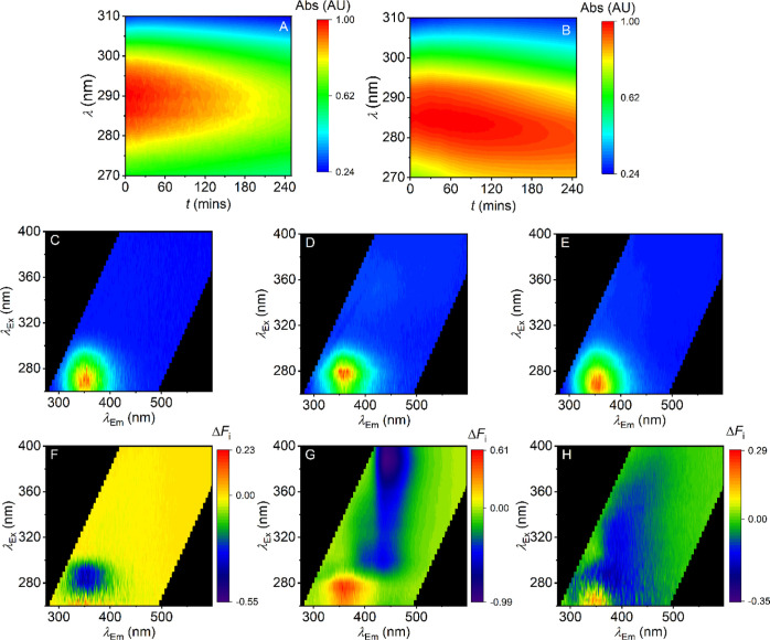 (A,B) Changes in intensity of the absorbance peak of a control saliva sample (A) and a saliva sample with 2d (B; 1 μg/mL). Red coloration represents emission with a relative intensity of 1. (C–E) FSFs for a control saliva sample (C), a saliva sample with 1d (D; 1 μg/mL), and a saliva sample with 2d (E; 1 μg/mL), all taken prior to sample irradiation. Red coloration represents emission with a relative intensity of 1, and blue represents an intensity of 0. (F–H) Differences maps displaying the changes in fluorescent behavior of samples exposed to intense UV light; a control saliva sample (F), a saliva sample containing 1d (G), and a saliva sample containing 2d (H). ΔFi represents the change in signal intensity.