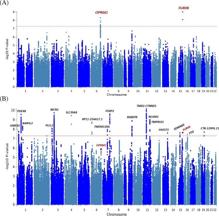 OUD and OUD-MTAG manhattan plots.Manhattan plots of (A) European-ancestry OUD GWAS results and (B) OUD-MTAG multi-trait GWAS results.