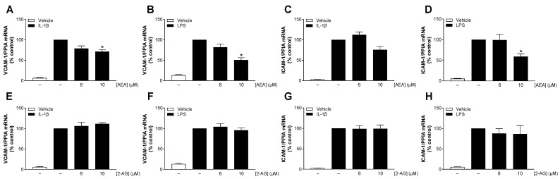 Influence of AEA (A–D) or 2-AG (E–H) on IL-1β- or LPS-induced mRNA expression of VCAM-1 or ICAM-1 in HCAEC. Cells were stimulated with 10 ng/mL IL-1β or vehicle and with the indicated concentrations of AEA or 2-AG or its vehicle for 24 h. Samples treated with LPS were preincubated with the indicated concentrations of AEA or 2-AG for 1 h before being coincubated with 1 µg/mL LPS or vehicle for a further 24 h. Expression of the indicated genes were analyzed by qRT-PCR. Peptidylprolyl isomerase A (PPIA) was used as an internal standard (housekeeping gene). Cells treated with IL-1β or LPS were used as control (set as 100%). Data are shown as means ± SEM of n = 3 independent experiments. * p ≤ 0.05 vs. IL-1β or LPS control; RM one-way ANOVA plus Dunnett post hoc test.