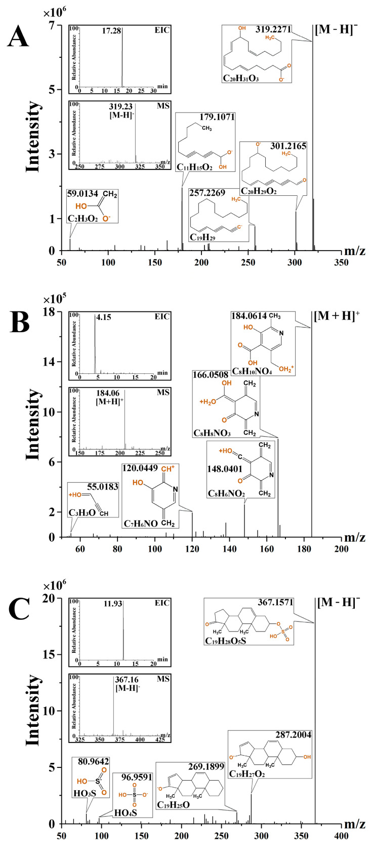 The extracted ion chromatogram, MS and MS/MS spectrum of 12(R)-HETE (A), 4-Pyridoxic acid (B) and dehydroepiandrosterone sulfate (C).