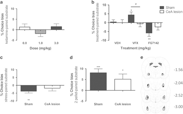 Lesions of the amygdala prevent the development of cognitive affective biases involving new learning. In contrast to the effects previously observed for venlafaxine (Stuart et al, 2013), systemic ketamine (1.0 and 3.0 mg/kg) treatment before the substrate–reinforcer pairing sessions failed to have any effect on new learning as shown by the lack of any bias during preference testing (a). In animals with excitotoxic lesions targeted to the CeA, the venlafaxine-induced positive affective bias was attenuated. The post hoc pairwise comparisons revealed that venlafaxine’s effects were completely prevented in the lesioned animals. Pairwise comparisons between sham and lesion groups following the negative affective manipulations were not different, although in the lesion group, a negative bias was not observed (FG7142 (b), restraint stress and social isolation (c)). Interestingly, lesions to the CeA do not affect choice bias associated with absolute changes in reinforcer outcome during learning (d). Schematic representation of excitotoxic lesions to the CeA (e). Shaded areas represent the smallest (black) and largest (gray) extent of neuronal damage quantified from post-mortem neuN-stained sections. Coronal sections are −1.56 mm to −3.00 mm relative to bregma (Paxinos and Watson, 1998). Data shown as mean±SEM, sham: n=16, lesion n=11 (5 animals were excluded because of unilateral or lesions extending beyond CeA). *P<0.05, **p<0.01, ***p<0.001 vs theoretical mean of 0% choice bias, #p<0.05 unpaired t-test. CeA, central nucleus of the amygdala; VEH, vehicle; VFX, venlafaxine.