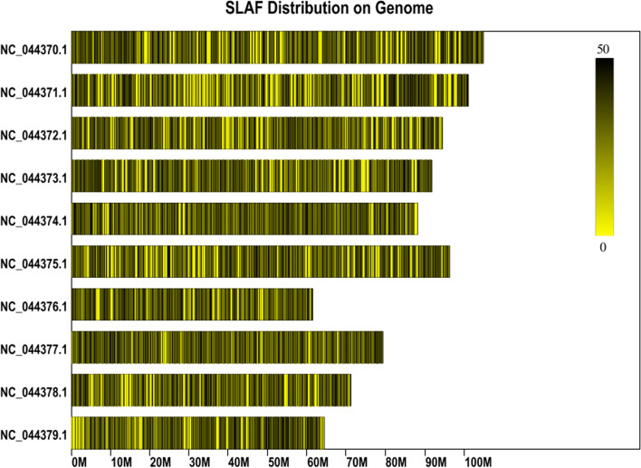 Distribution diagrams of all SLAFs (black lines) on each chromosome of hemp. The black lines indicate SLAF tags