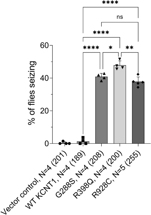 Expressing human KCNT1 mutants in GABAergic neurons of Drosophila gives rise to seizures in a bang sensitive behavioural assay. Drosophila with the vector control and Drosophila expressing either WT or G288S, R398Q or R928C mutant human KCNT1 in GABAergic neurons were analysed in the bang sensitive behavioural seizure assay. Percentage of Drosophila showing a seizure phenotype are shown for each line. N, is the number of independent crosses, with total number of flies in all crosses shown in brackets. The data were analysed using Brown-Forsythe and Welsh’s one-way ANOVA followed by Dunnett's T3 multiple comparisons test; ****P < 0.0001, ***P = 0.0003, **P = 0.0080, *P = 0.0411, ns—no significant difference.