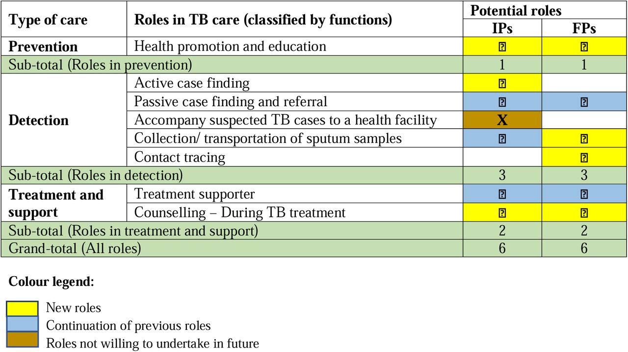 Tabular representation of IPs’ potential roles in TB care