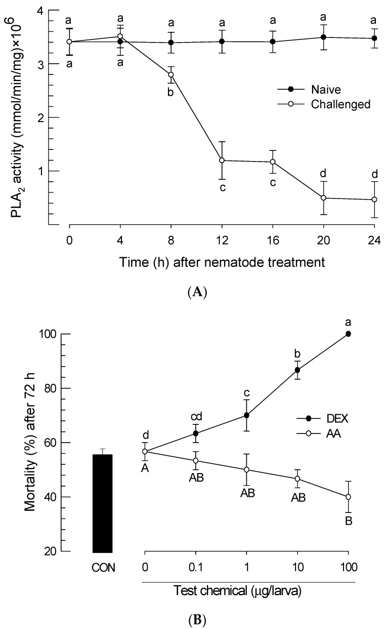 Effect of PLA2 inhibition induced by S. feltiae K1 infection on insecticidal activity against P. xylostella larvae. (A) Inhibition of PLA2 activity in the plasma of P. xylostella larvae by the nematode infection (‘Challenged’) of S. feltiae K1. Hemolymph was collected every 4 h after the nematode infection to prepare plasma samples. Each treatment was replicated three times. (B) Influence of arachidonic acid (‘AA’, 10 μg/larva) or dexamethasone (‘DEX’, 10 μg/larva) addition on mortality of P. xylostella larvae infected with S. feltiae K1. Indicated concentrations of test chemicals were injected into hemocoel of test insects followed by nematode treatment (80 IJs/larva). Subsequent mortality was measured at 72 h after nematode treatment. Each treatment was replicated three times. For each replication, 10 larvae were used. Different letters above standard error bars indicate significant difference among means at Type I error = 0.05 (LSD test).