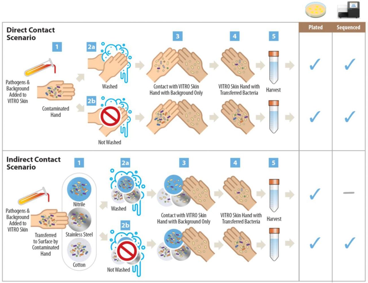 Sequences Collected from Direct and Indirect Contact Scenarios.For the direct contact scenario, the primary VITRO-SKIN® coupon was inoculated with a mix of pathogen and background bacteria, representing a contaminated patient hand (step 1). The inoculated VITRO-SKIN® was either washed (step 2a) or not washed (step 2b) and then briefly touched to a new, secondary VITRO-SKIN® with only background microorganisms (step 3), simulating the touch transfer of bacteria from a sick patient to a clean healthcare worker. The secondary VITRO-SKIN® representing the contaminated health care worker was then harvested (step 4) for culture and sequence analysis (step 5). Alternately, for the indirect contact scenario, the primary VITRO-SKIN® coupon was inoculated with a mix of pathogen and background bacteria and touched to a surface of nitrile, stainless steel, or cotton, simulating bacterial transfer to the fomite in a healthcare setting (step 2c). A secondary VITRO-SKIN® representing a clean health worker hand was then touched to the fomite and harvested as described above. Although our previous study analyzed culture data from the washed indirect transfer events (step 2b), those samples were not sequenced because the amount of available nucleic acid was anticipated to be too low for pathogen detection (Weber et al., 2020).