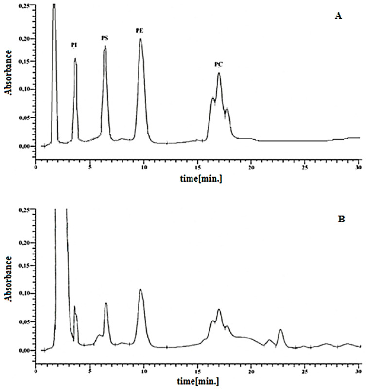 Chromatogram of the phospholipid standard mixture (A) and total keratinocyte lipid extract (B) PI-phosphatidylinositol, PS-phosphatidylserine, PE-phosphatidylethanolamine, PC-phosphatidylcholine.