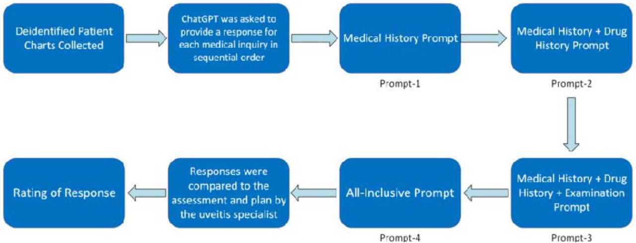Flowchart depicting four levels of prompts.