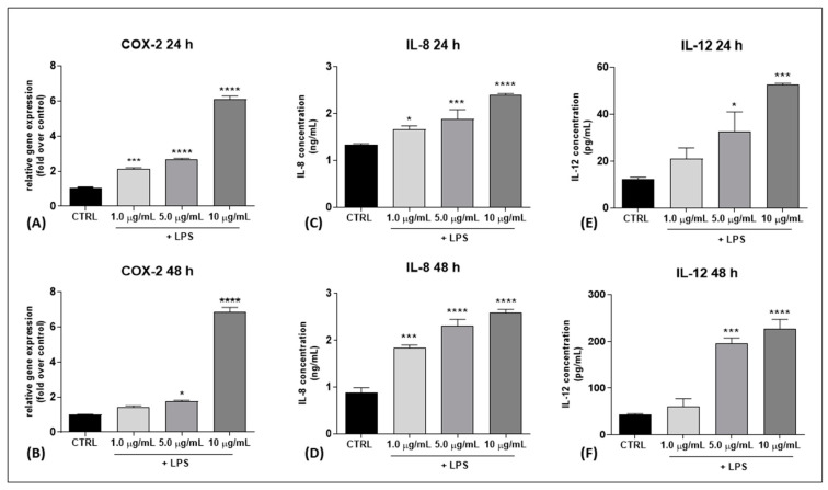 Gene expression of the inflammatory marker COX-2 and release of the pro-inflammatory cytokines IL-8 and IL-12 into the culture medium of HaCaT cells following LPS treatment (at 1.0, 5.0, 10.0 µg/mL) for 24 h and 48 h. (A,B) COX-2 gene expression at 24 h and 48 h, respectively. The values were expressed as 2(−ΔΔCt) and were normalized to β-actin and GAPDH as housekeeping genes. (C–F) Release of IL-8 (ng/mL) and IL-12 (pg/mL) at 24 h and 48 h, respectively. All of the data are presented as the means ± SEM of three independent experiments (n = 3). Statistical analysis was performed using a one-way ANOVA test followed by a Bonferroni post hoc test. (* p < 0.05; *** p < 0.001; **** p < 0.0001 vs. CTRL).