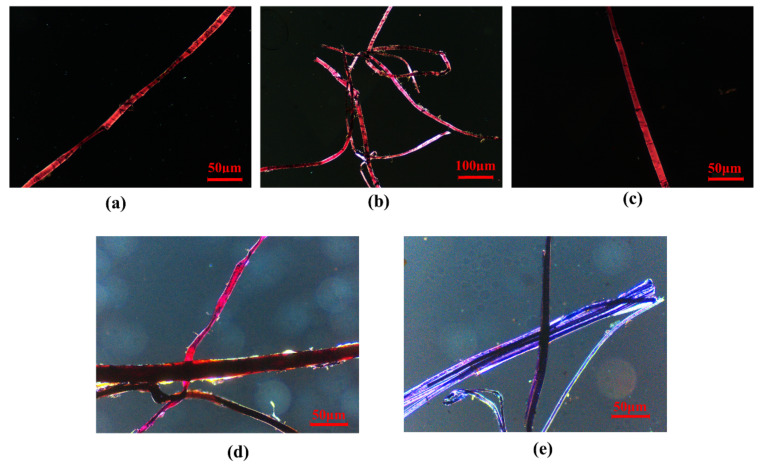 Morphology of paper fibres: (a) XSBD-F1; (b) XSBD-F2; (c) XSND-F4; (d) XSND-F5; (e) XSBD-F3.