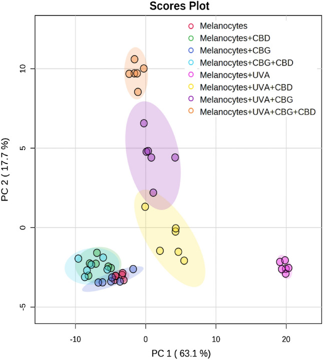 Two-dimensional principal component analysis (2D PCA) scores plot of the relative phospholipid content in non-irradiated (melanocytes), irradiated with UVA (melanocytes + UVA) and treated with cannabidiol (5 µM) (melanocytes + CBD), cannabigerol (1 µM) (melanocytes + CBG) and in combination (melanocytes + CBG + CBD).