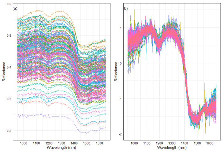 Near-infrared spectra of 200 genotype samples within the wavelength range of 950 to 1650 nm. The figure features two subplots, (a) raw spectra and (b) standard normal variate (SNV) spectra processing. In the raw data plot, each color spectrum represents the spectral signature across the wavelength range per sample. On the other hand, in the SNV plot, the spectra have been processed using standard normal variate transformation, resulting in a distinct representation of the spectral data.