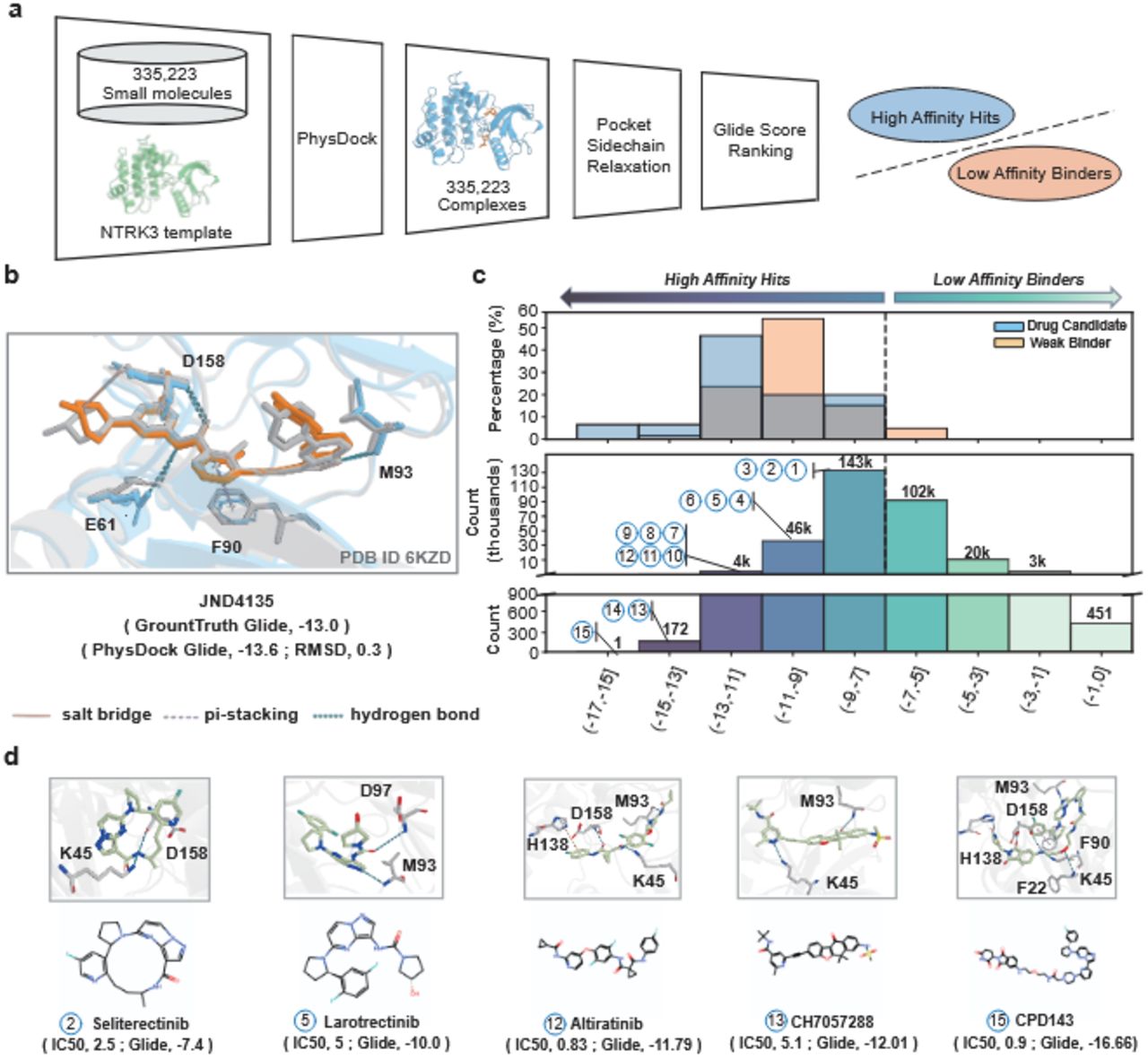 PhysDock effectively distinguishes most known drug candidates from weak binders of the NTRK3 kinase. (a) Virtual screening workflow for NTRK3 kinase using PhysDock, which includes small molecules from the SPECS database, 15 known drug candidates, and 59 weak binders. Pocket sidechain relaxation was performed for 100 steps prior to Glide score ranking. (b) Overlay of binding modes predicted by PhysDock (orange) and the ground truth (grey, PDB ID: 6KZD), with key interacting residues highlighted. Hydrophobic interactions are omitted for clarity. (c) Glide score distribution from PhysDock screening of NTRK3 kinase-targeted small molecules, classifying compounds as high-affinity hits or low-affinity binders. (d) Docking poses of known NTRK3 kinase inhibitors, with key interacting residues highlighted. Corresponding 2D structures are displayed below.