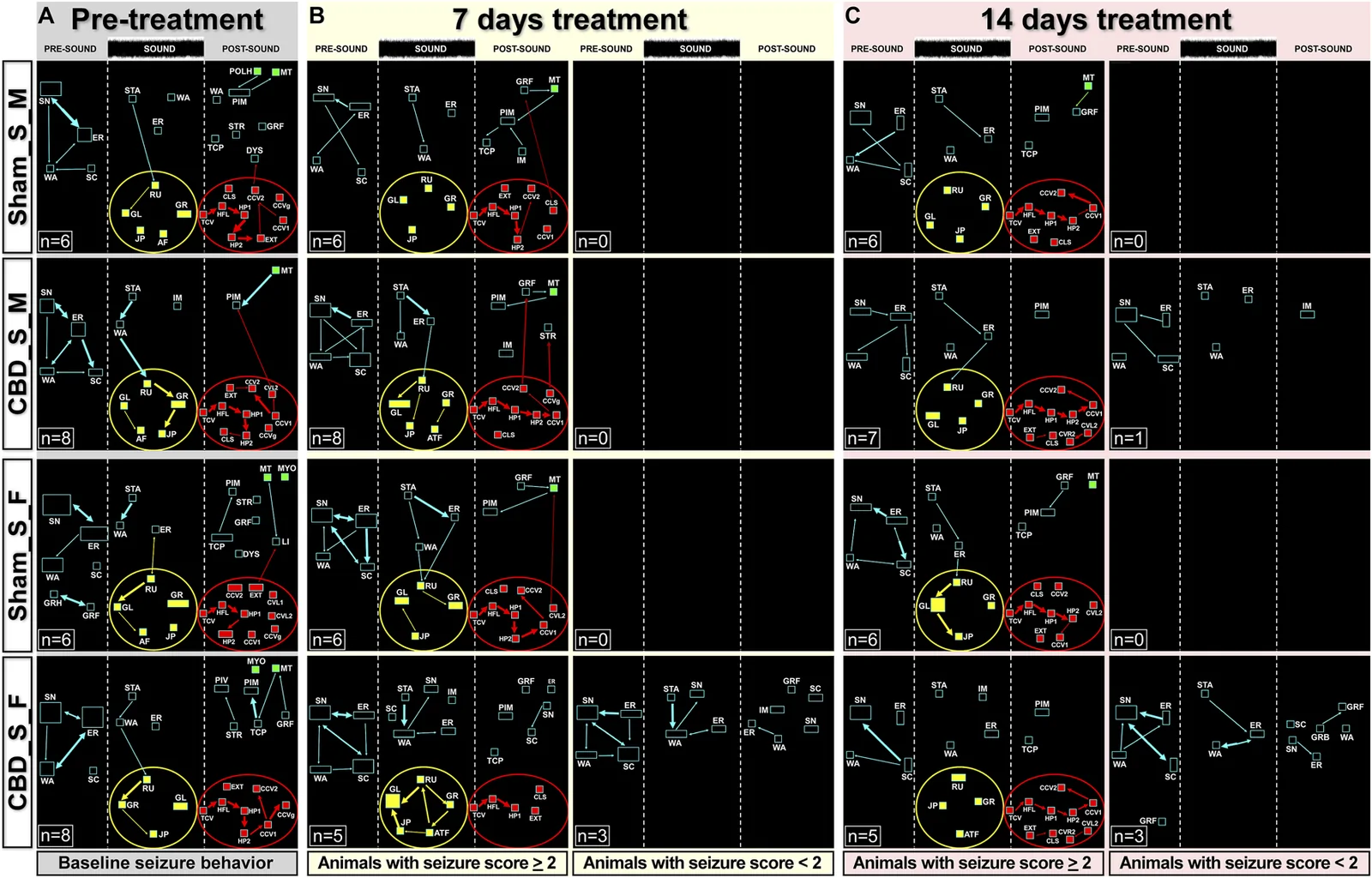 Grid of network diagrams from an experimental study displaying brain region connectivity in animal groups before and after treatments over pre-treatment, seven days, and fourteen days. Each row represents different animal groups, and panels are divided into pre-sound, sound, and post-sound phases for baseline seizure behavior and seizure score conditions. Yellow and red circles highlight specific node clusters, and legend labels (Sham, CBD, M, F) and sample sizes are present in each panel.