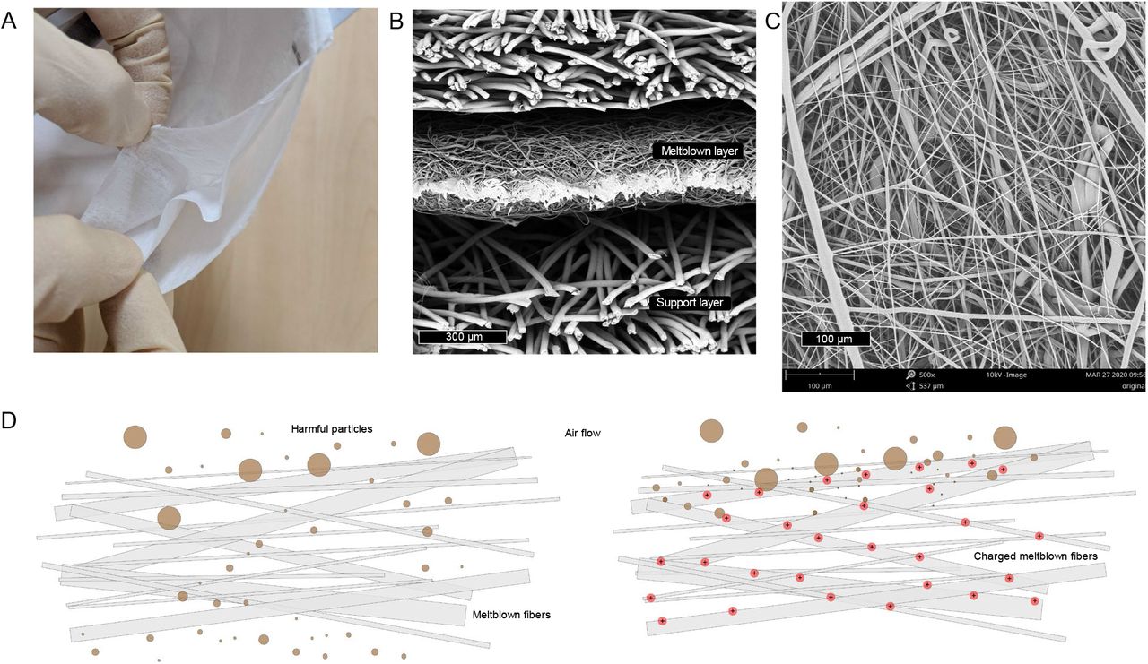 Meltblown fabrics in N95 FFRs A. Peeling apart a representative N95 FFR reveals multiple layers of nonwoven materials. B. SEM cross section image reveals the middle meltblown layer has thinner fibers with thickness around 300 μm. C. SEM image of meltblown fibers reveals a complicated randomly-oriented network of fibers, with diameters in the range of ∼1-10 μm. D. Schematic illustration of meltblown fibers without (left) and with (right) electret charging. In the left figure, smaller particles are able to pass through to the user, but particles are electrostatically captured in the case of an electret (right).
