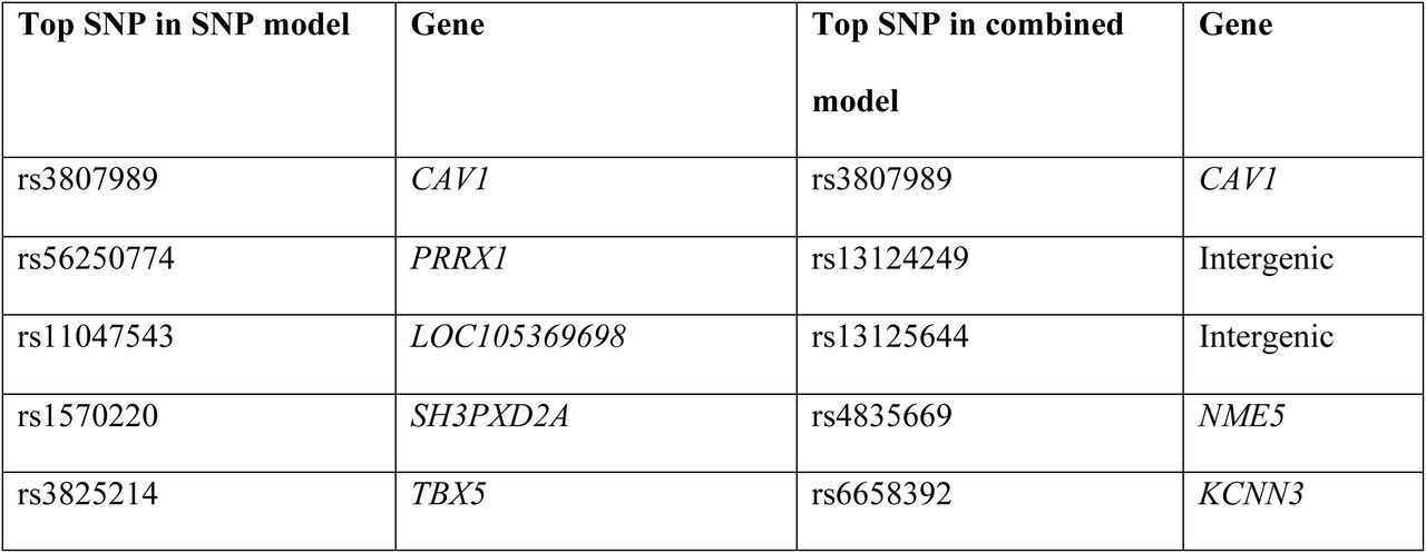 Table of the SNPs with the highest feature importance for the single nucleotide polymorphism (SNP), and combined atrial fibrillation GLN-models