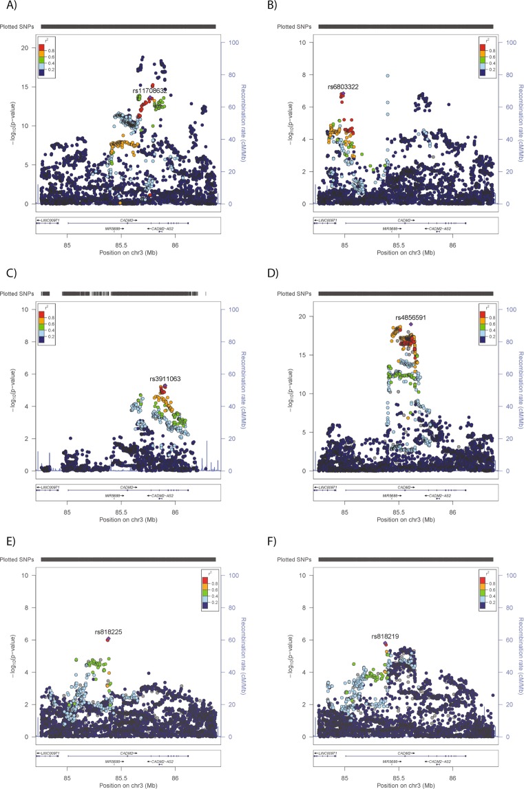 Regional plots for phenotypes with GWAS significant (p < 5 × 10−8) or suggestive (p < 1 × 10−5) evidence of association with the CADM2 locus. Results from meta-analysis of (A) BMI, (B) SBP, (C) CRP levels or UK Biobank-only analyses of (D) risk-taking behaviour, (E) mood instability and (F) neuroticism.