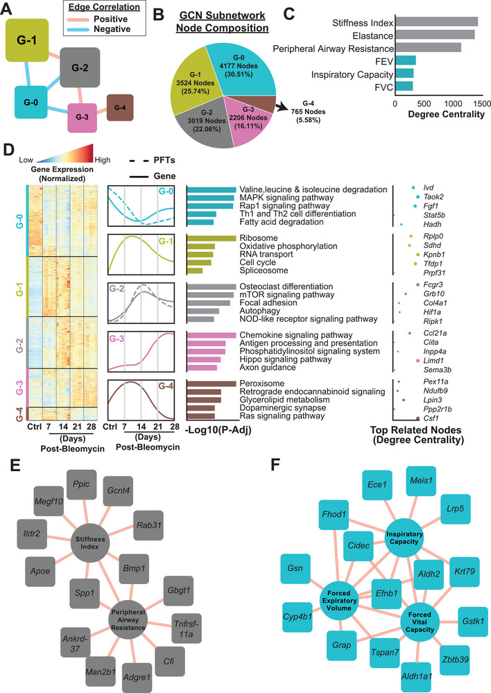Gene Co‐Expression Network (GCN) analysis. A) Five subnetworks with distinct network architectures were detected in the GCN with node size proportional to their average local transitivity in the network (numbers in the bracket denoted the total number of genes and PFTs in each subnetwork). B) The node composition of GCN subnetworks. C) Centrality analysis of PFTs. Stiffness index, elastance, and peripheral airway resistance were the most central PFTs connected to more than 1000 genes in the GCN, while other PFTs (FEV, inspiratory capacity, and FVC) were connected to less than 400 genes. D) The detailed view of each subnetwork, including the normalized gene expression trends in each sample, the median trajectory of the gene and PFTs in control and four post‐bleomycin time points, associated KEGG pathways to the subnetworks, and the genes with the highest degree related to the KEGG pathways. E) The top 10 highest correlated GCN nodes to stiffness index and peripheral airway resistance. F) Forced vital capacity, forced expiratory volume, and inspiratory capacity.