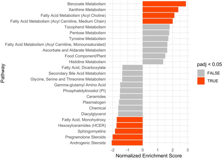 Metabolomics pathway enrichment analysis of metabolic pathways that were altered following ocrelizumab treatment, ranked by the normalized enrichment score (NES). The NES is used to determine the degree to which a metabolic pathway is overrepresented at either the top or bottom of a list of ranked metabolites. A positive score indicates that a metabolic pathway is up‐regulated following treatment, while a negative score indicates that it is down‐regulated. The NES is represented by a bar, with orange indicating significantly altered pathways (Adjusted p‐value <0.05) and gray indicating non‐significantly altered ones.