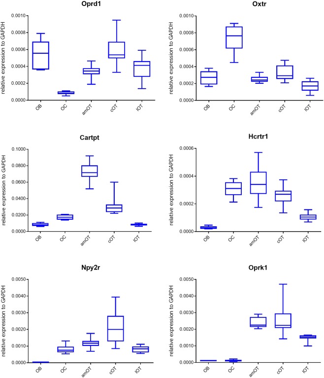 Boxplot analysis of representative neuromodulatory molecule expression in various olfactory areas of control mice. Data for opioid receptor delta 1 (Oprd1), oxytocin receptor (Oxtr), CART peptide (Cartpt), orexin receptor 1 (Hcrtr1), neuropeptide Y receptor type 2 (Npy2r) and opioid receptor kappa 1 (Oprk1) are shown. Boxes indicate the 25th and 75th percentiles, whiskers show the minimum and maximum values, and lines inside the boxes indicate the median. n = 9 in each group.