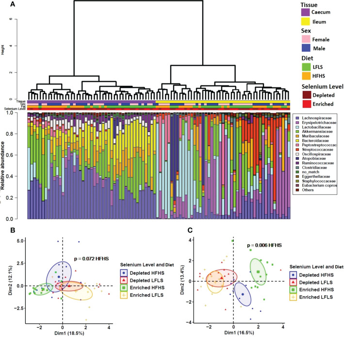 Intestinal microbiota composition in response to Se-enriched and Se-depleted LFLS or HFHS diets. A) Relative bacterial abundance at the family rank in response to Se-enriched and Se-depleted LFLS or HFHS diets in the intestinal segments ileum and caecum. Families representing less than 1% of total bacterial abundance were aggregated. Dendrogram showing hierarchical clustering based on Canberra distance between samples is showed and determines the sample ordering. The corresponding annotations for tissue, sex, diet and Se level are displayed. B) Principal component analysis shows the impact of depleted/enriched concentrations of Se with High and Low-Fat Sucrose diets on gut microbiota composition of the ileum and C) in the caecum. Permanova indicates significance of microbiota composition differences between the dietary conditions. The samples were analysed at day 28 of the study.