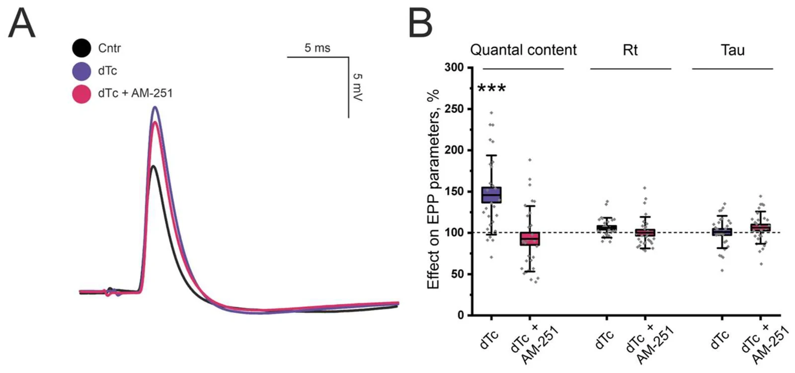 Action of the CB1 antagonist AM-251 on evoked activity at LAL NMJ in the presence of d-Tubocurarine (50 nM, dTc) at P14. (A) Representative EPP recordings at NMJs in the control group (Cntr), dTc alone or combined with AM-251 treatments. (B) Effect of dTc alone or combined with AM-251 (5 μM) on EPP parameters (quantal content (QC), rise time (RT) and decay time constant (Tau)). n = 33 NMJs; N = 5 animals; *** p < 0.001 vs. control/blocker values (one-way ANOVA).