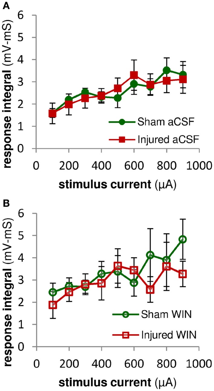 Excitatory synaptic responses in pyramidal neuron recordings were not altered by injury or treatment with the cannabinoid agonist WIN55,2122. Integral of SR-evoked responses in whole-cell current clamp recordings from CA1 pyramidal neurons over the first 2 ms after the response onset. Since action potentials began as early as 2 ms after the onset of the stimulus-evoked responses, we assessed the excitatory synaptic component of the evoked response by integrating the response over the first 2 ms after the response onset. During this early time period, stimulus-evoked synaptic inhibition would not yet be active, and so the integral is a measure of excitatory synaptic activity (action potentials can be distinguished from synaptic potentials by the rate of rise of the response – see Sections “Materials and Methods” and “Analysis”). (A) No significant differences were observed between the excitatory responses in pyramidal neurons from sham versus injured mice, suggesting that injury did not alter the excitatory component of the evoked synaptic responses. (B) Integral over first 2 ms of stimulus-evoked pyramidal neuron response as in (A) above. Treatment with WIN55,212-2 (100 nM) did not significantly affect excitatory synaptic responses in either sham or injured animals, nor the difference between sham and injured. Mann-Whitney paired comparisons for 100–900 μA stimuli (minimum, maximum, and median P values): sham aCSF versus sham WIN, 0.151, 0.999, 0.421; injured aCSF versus injured WIN, 0.394, 0.999, 0.931; sham aCSF versus injured aCSF 0.537, 0.999, 0.841; sham WIN versus injured WIN, 0.330, 0.931, 0.662. Kruskal–Wallis comparison across all groups for 100–900 μA stimuli: 0.619, 0.653, 0.796, 0.685, 0.529, 0.913, 0.806, 0.954, 0.555.