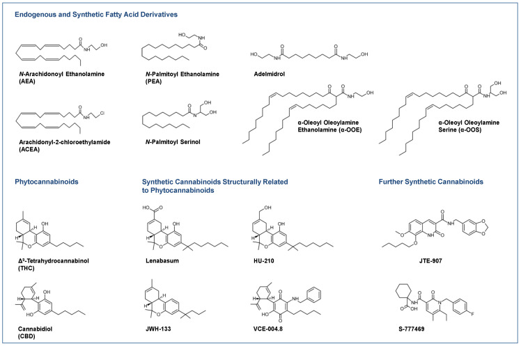 Selected endocannabinoids and phytocannabinoids and their derivatives currently under investigation or in use for the treatment of skin diseases.