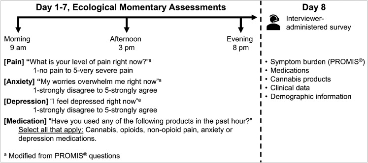 Overview of the eight-day study's data collection procedures in 50 metastatic patients. Ecological momentary assessments were conducted three times daily for one week, followed by an interviewer-administered survey on Day 8.