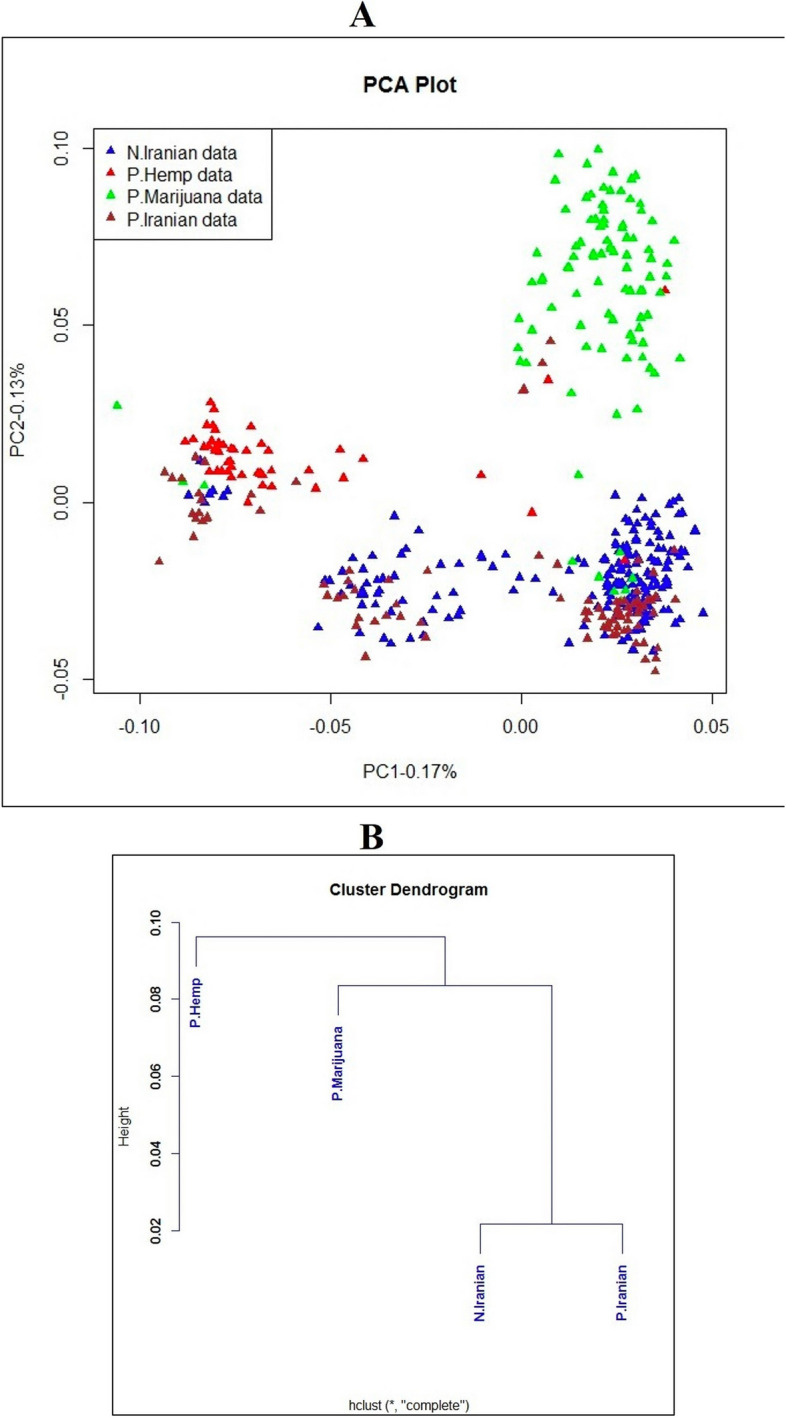 (A) Principal components analysis of 431 samples including 196 Iranian samples of this study (in blue), 93 previous studied cannabis samples (in dark red), 47 hemp samples (in red) and 95 marijuana samples (in green) using 25,112 SNPs, and (B) Cluster Dendrogram generated for genetic distance between Iranian cannabis genotypes and hemp and marijuana populations. The labels N.Iranian data, P.Iranian data, P.Hemp data and P.Marijuana data represent the following: Iranian samples from the current study, Iranian samples sourced from a prior study, a previously studied hemp population and a previously studied marijuana population respectively