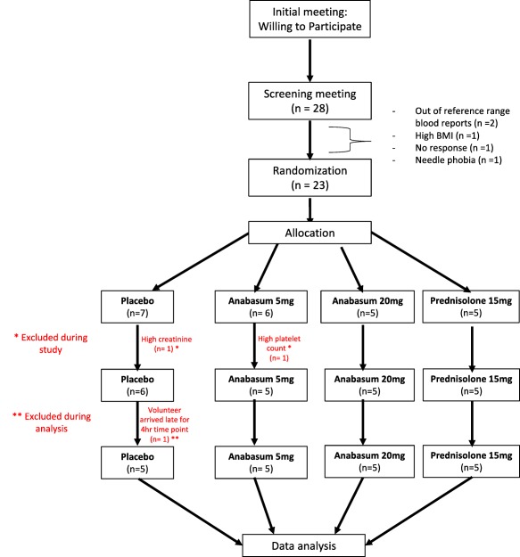 Consort diagram of the open label, randomized, parallel group, placebo‐controlled clinical study to test effect of 5 mg anabasum, 20 mg anabasum, and prednisolone on anti‐inflammatory and pro‐resolution biomarkers in UVkEc triggered self‐resolving dermal inflammation model.