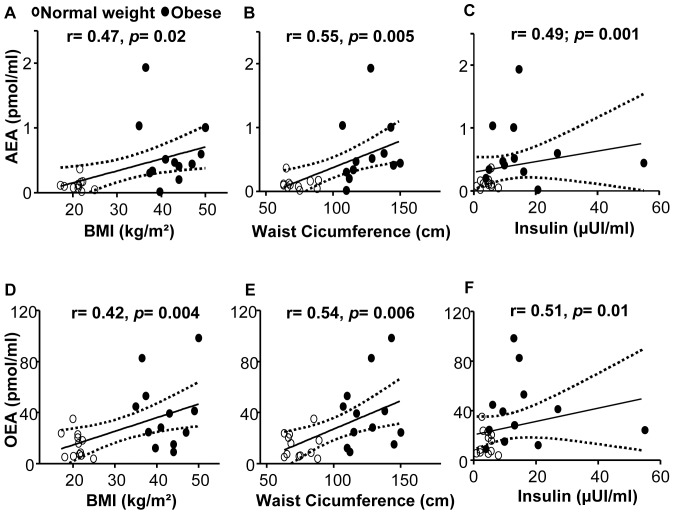 Relationship of salivary AEA and OEA levels with anthropometric and metabolic parameters.Fasting salivary AEA and OEA correlation with body mass index (BMI) (A, D), waist circumference (B, E) and fasting insulin levels (C, F).