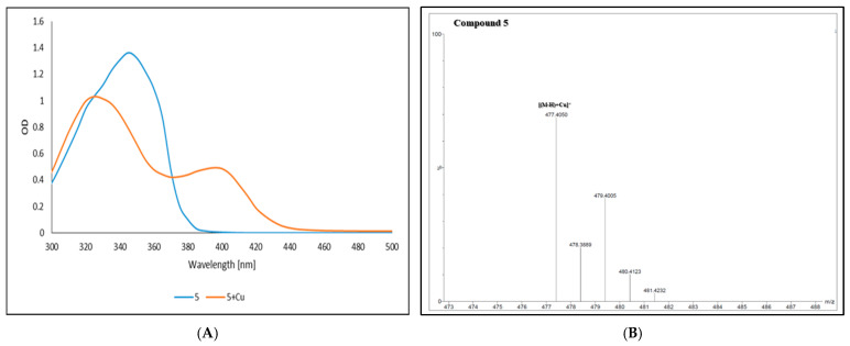 (A) UV-Vis spectrum of compound 5 (blue line) and copper complex with 5 (orange line). (B) ESI-MS of a copper complex with 5.